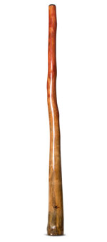 Tristan O'Meara Didgeridoo (TM290)
